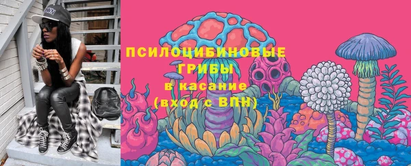 молекула духа Михайловка